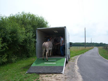Test_Camion_10