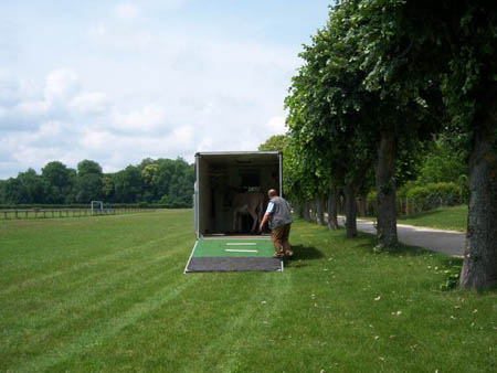 Test_Camion_12