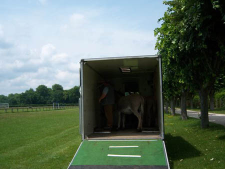 Test_Camion_13