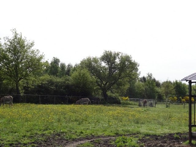 DSC05019.jpg