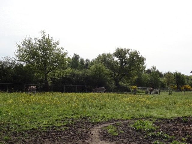 DSC05020.jpg