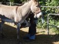 DSC05363.jpg