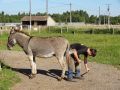 DSC05364.jpg