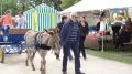 DSC07620.JPG