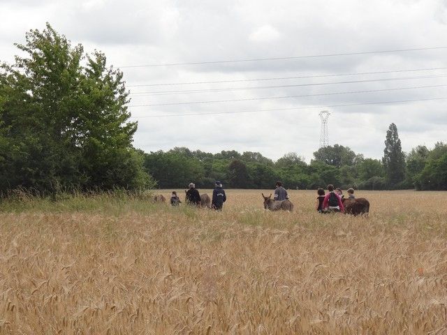 DSC07918.jpg