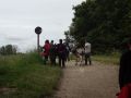 DSC07884.jpg