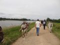 DSC07890.jpg