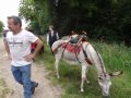 DSC07897.jpg