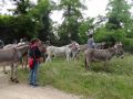 DSC07901.jpg