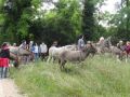 DSC07902.jpg