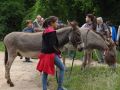 DSC07903.jpg