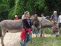 DSC07904.jpg