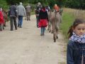 DSC07907.jpg