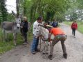 DSC07908.jpg