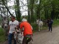 DSC07909.jpg