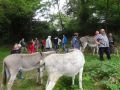 DSC07910.jpg