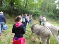 DSC07911.jpg
