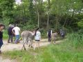 DSC07916.jpg