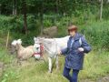 DSC07917.jpg