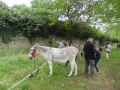 DSC07920.jpg