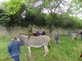 DSC07921.jpg