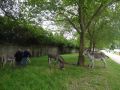 DSC07922.jpg