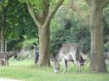 DSC07941.jpg