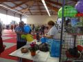DSC08803.JPG