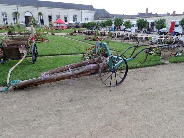P7300021.jpg