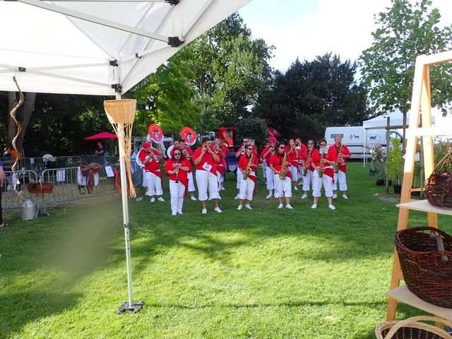 P7300030.jpg