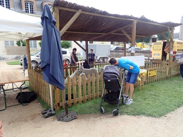 P7300044.jpg
