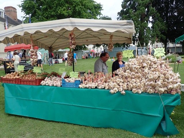 P7300070.jpg