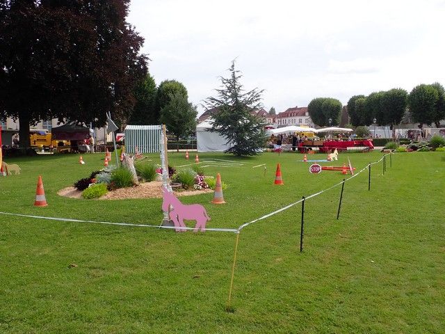 P7300095.jpg