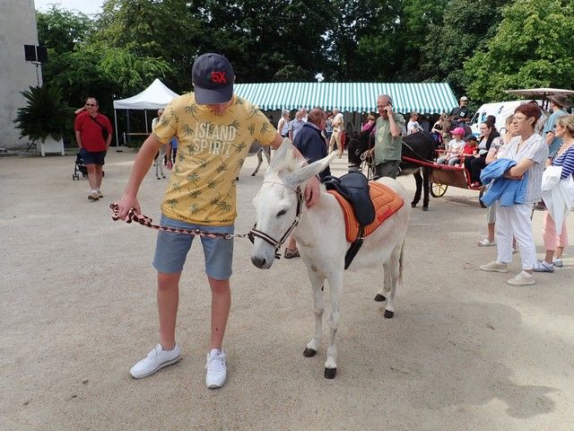 P7300115.jpg