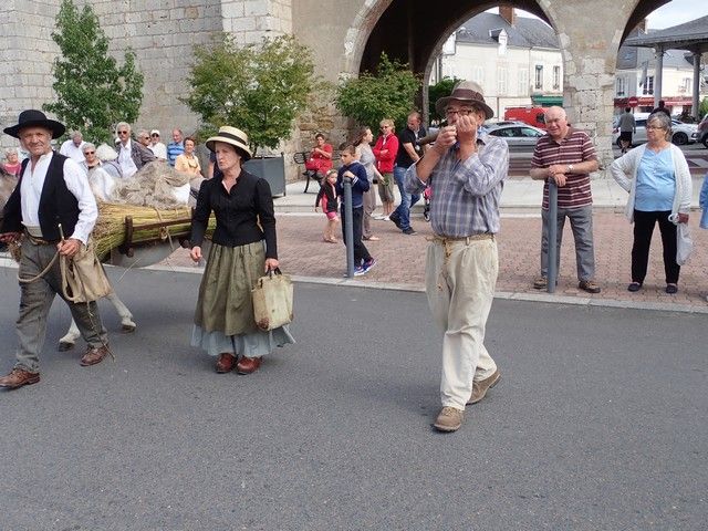 P7300139.jpg