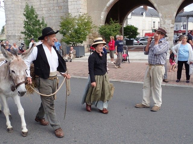 P7300140.jpg