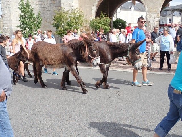 P7300143.jpg