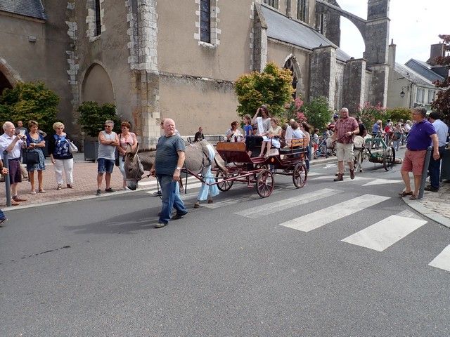 P7300148.jpg