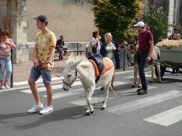 P7300151.jpg
