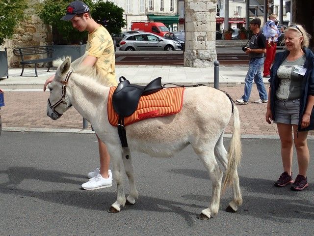 P7300153.jpg