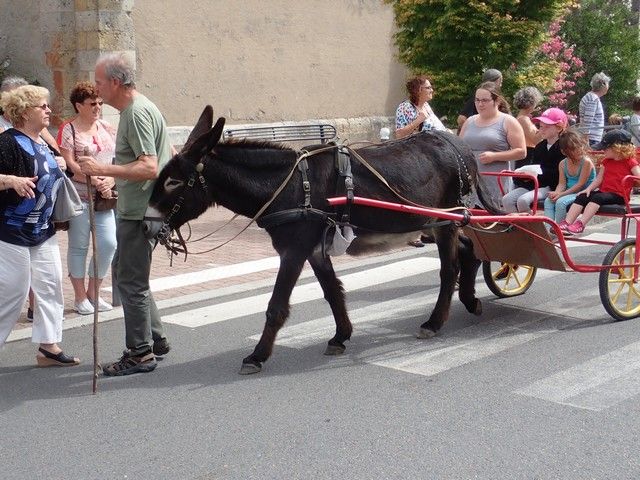 P7300155.jpg