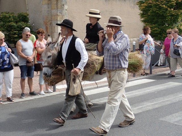 P7300157.jpg