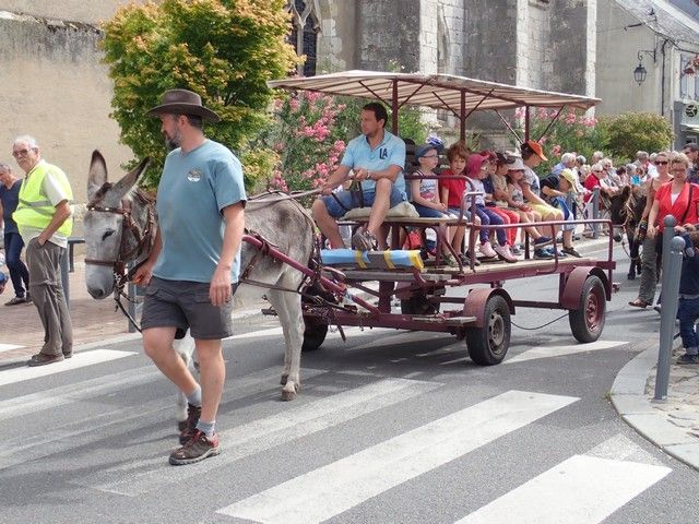P7300158.jpg