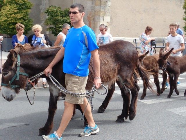 P7300159.jpg
