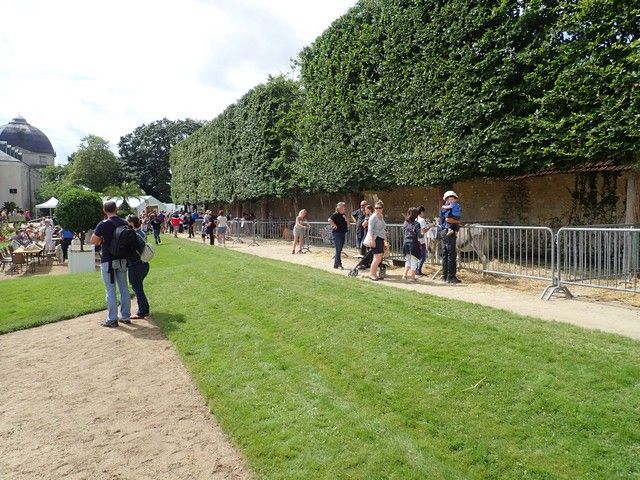 P7300189.jpg
