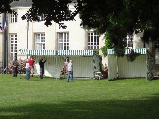 DSC08723.jpg