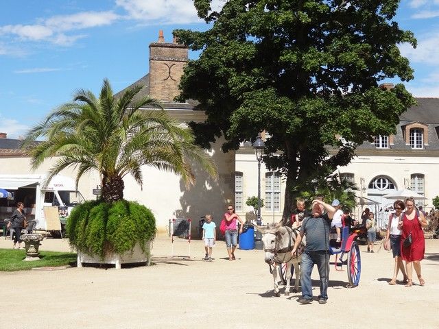 DSC08745.jpg