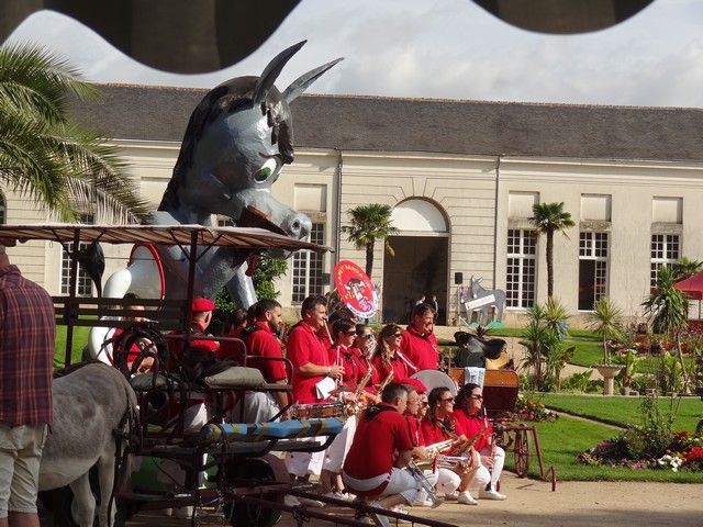 DSC08749.jpg