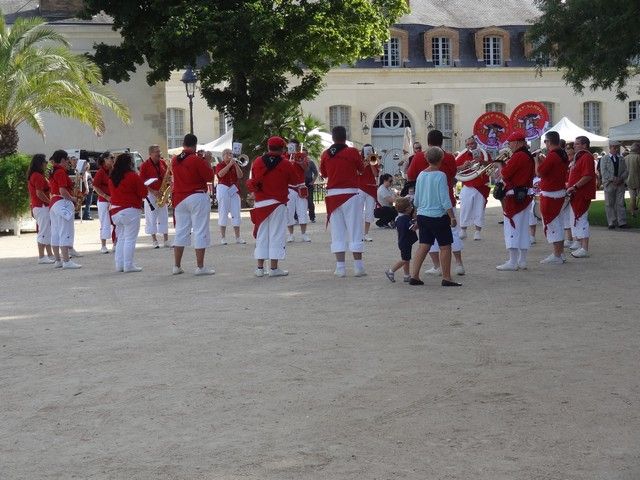 DSC08751.jpg
