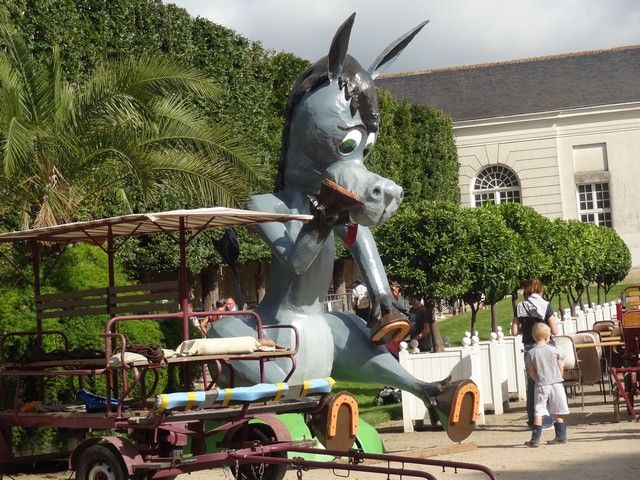 DSC08752.jpg